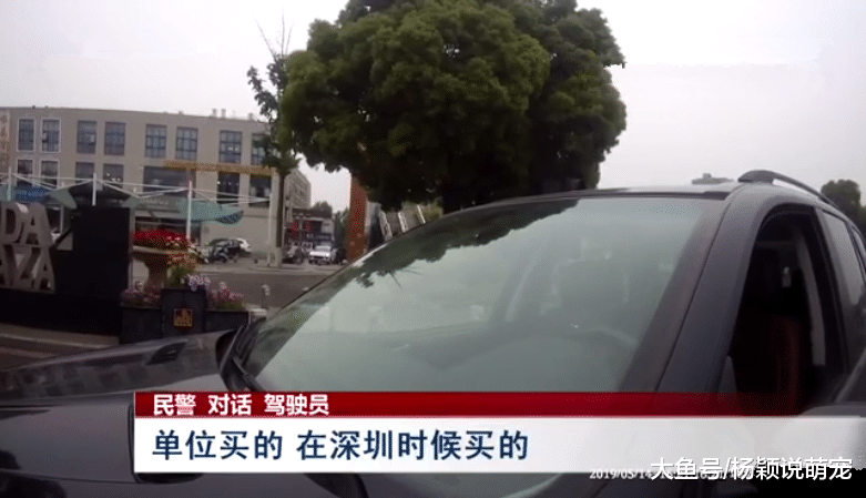 广东一男子，因驾驶公司宝马车，无缘无故被交警拦下吊销驾照，网友：霸王条款