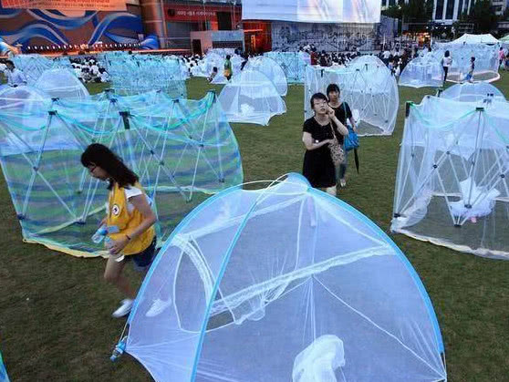 你瞧不上眼的“中国制造”，在老外眼里就是宝贝，闷声发大财？