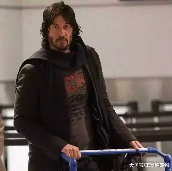 你以为只有小李子视颜值为粪土？那是你没见过裘德洛和基努里维斯