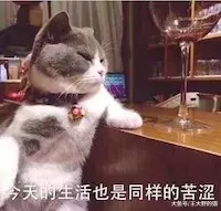 病毒顽强，致死率高达90%，让猫和主人措手不及的猫瘟如何预防？