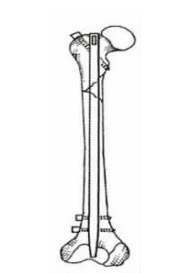 猫咪狗狗骨折了怎么办？扒一扒宠物“骨子里”的那些事