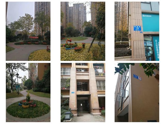 成都司法拍卖房房源推荐2019/12/31