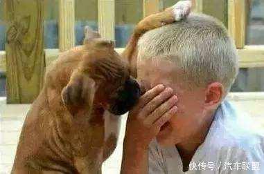 这个锅到底该不该‘它’来背?