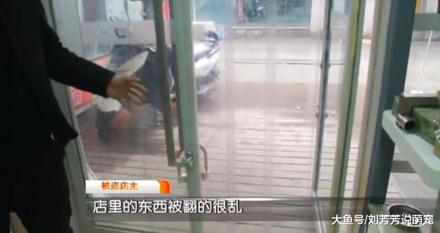 3贼凌晨连撬4家店！偷了两只“二哈”溜了 最有意思的还在后面！