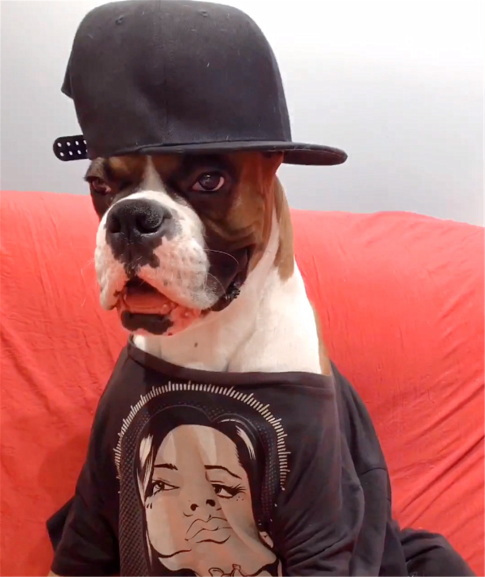 主人給猛犬涂彩色指甲，狗子一臉嫌棄，狗：快給我擦干凈……