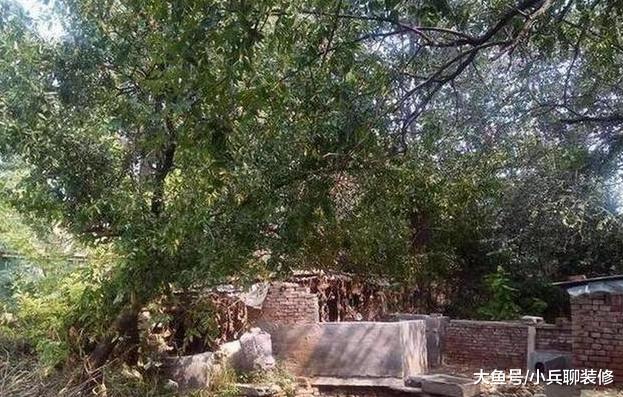 晒晒第一次回老公老家，被他家的房子吓到了，这年代还有这房子？