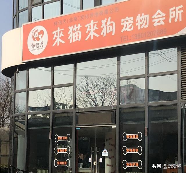 全国数百家宠物店都在做这件事——营业额翻倍, 做到这点就够了!