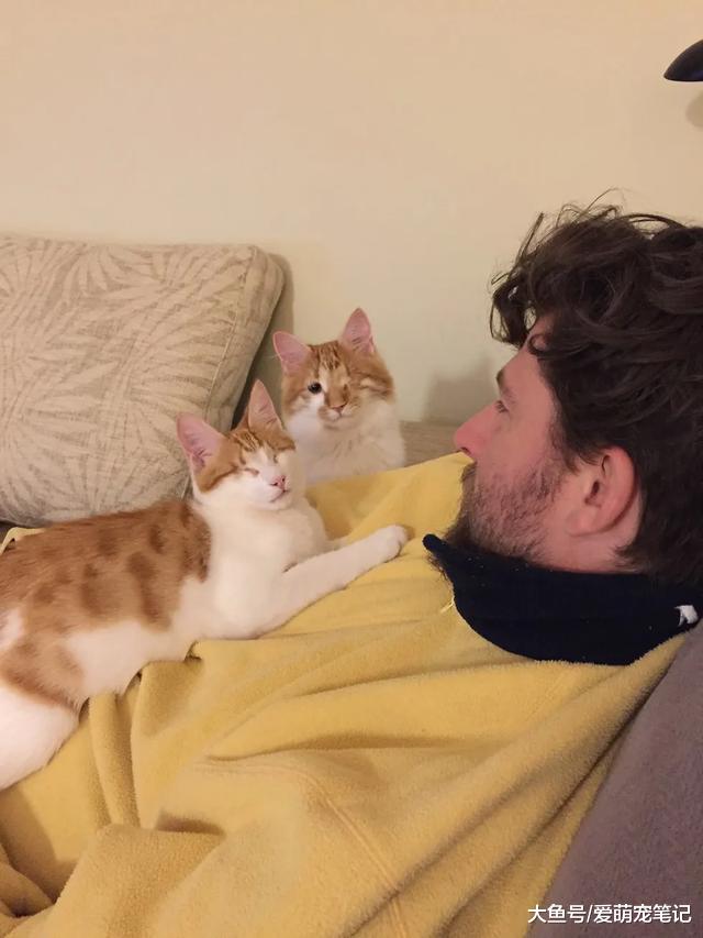 3周大的橘猫不幸失去左眼，却遇到同样失明的小猫，给了彼此温暖