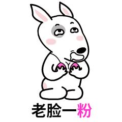 动物咖啡馆再添新成员，猫头鹰味的可以“尝尝