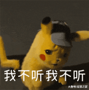 出血熱高發季來了，荷蘭豬有危險了