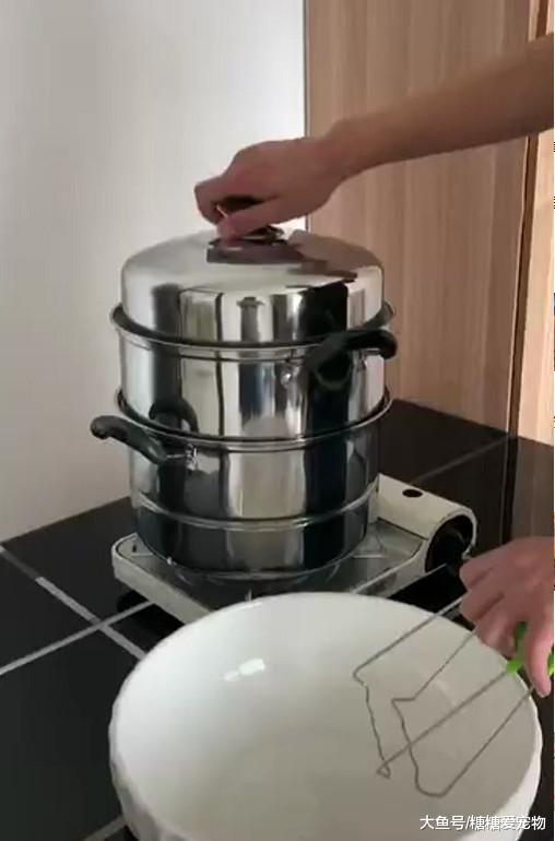 男子“蒸猫肉”引围观，不少网友纷纷调侃：有本事你真吃呀！