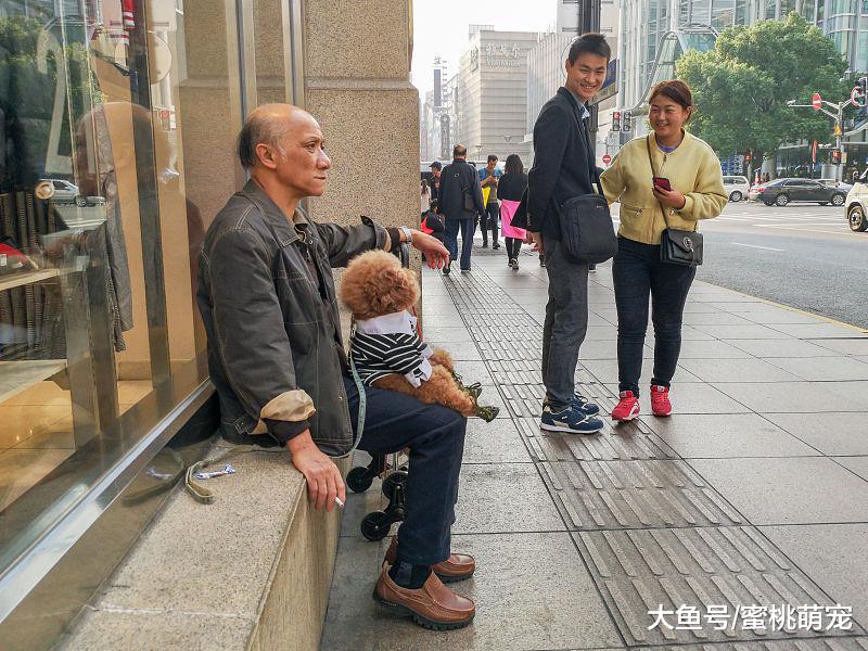 萌宠：泰迪最讨厌人们触碰的三个部位，即使主人也不行