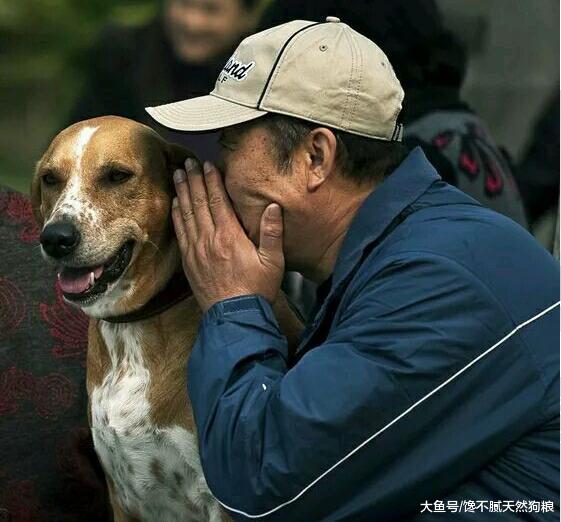 不瞒你说：家里养狗的5大好处，你不一定清楚！