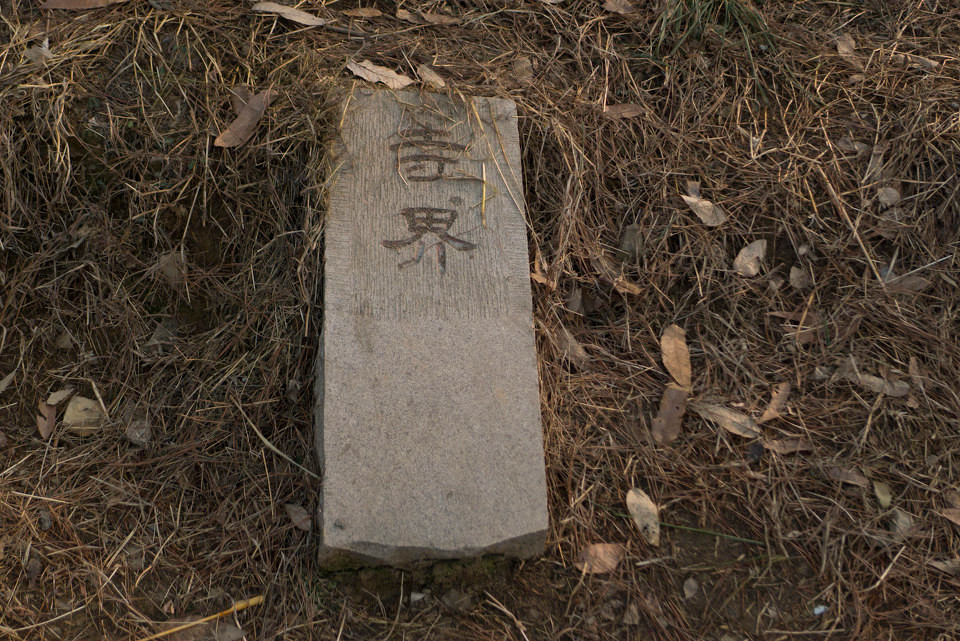 一座苏州古寺，名气不大，却比灵隐寺清幽，比国清寺悠久