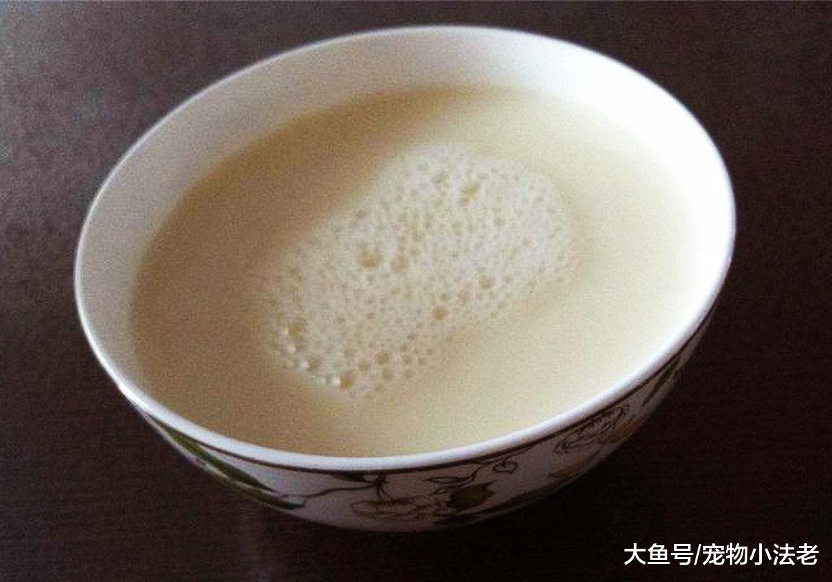 给狗补营养，真的可以用“这个”代替羊奶吗？这很容易让狗狗中毒