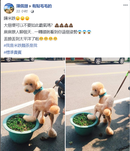 主人和熟人闲聊，一回头发现巨贵霸气施肥，好尴尬