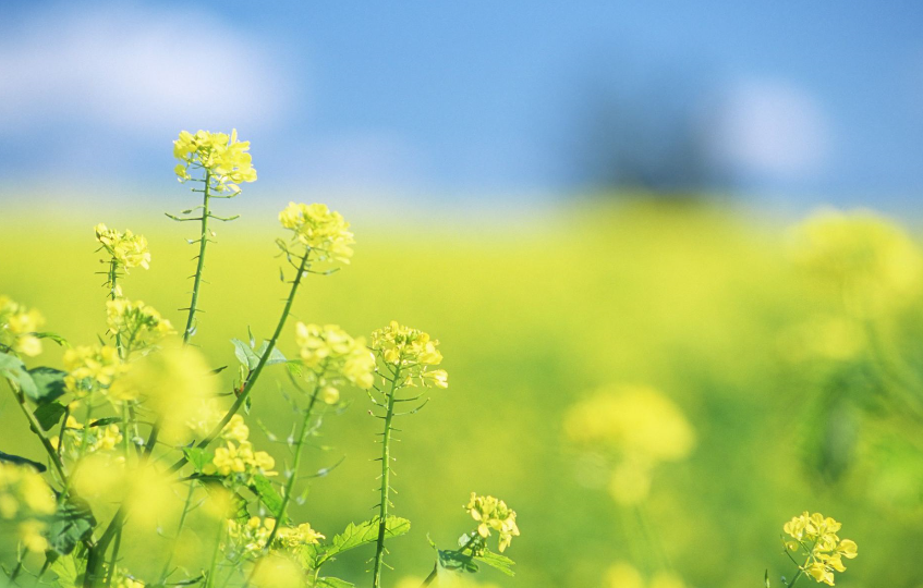 努力去坚持，勇敢去奋斗。致终将光芒万丈的自己。