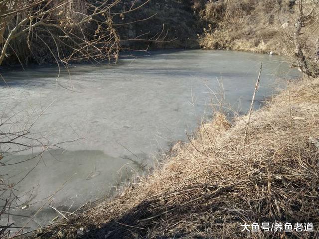 千年的草籽萬年魚籽，為什么自然環境下的水塘里會有魚？