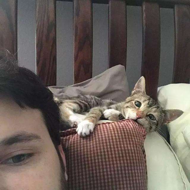 猫咪的眼睛虽然看不见，但是它的可爱依然让它光芒四射