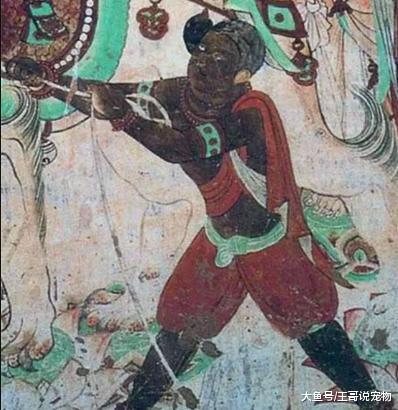 从昆仑奴、新罗婢、僧祇奴和胡姬，聊一聊唐代的外国奴隶