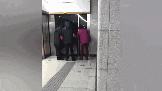 哈士奇闯入地铁站, 工作人员一顿追捕, 狗: 抓不到我吧……
