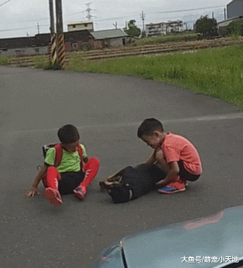 路霸汪趴着不走，小孩下车帮移却直接开摸，妈见它爽翻肚超无奈