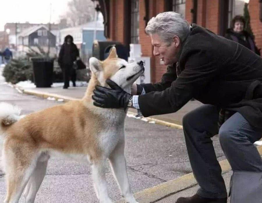 狗狗獨自行走300公里，原因竟是為了這個……