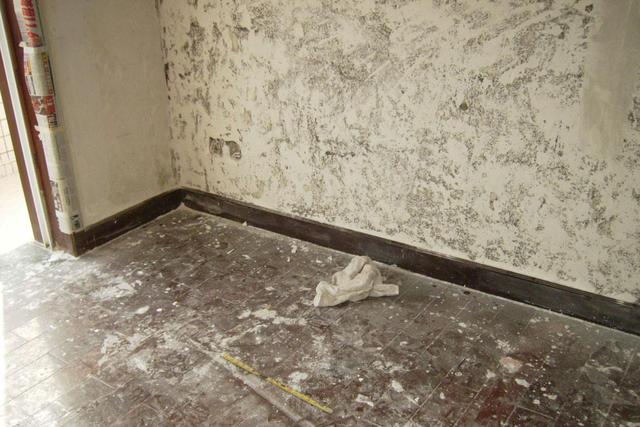 半信半疑！墙面施工要挂网？师傅：这种情况不挂，坐等你家开裂