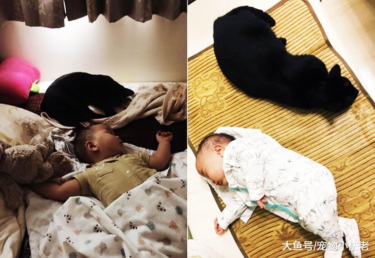 天生“貓癮”小寶寶，每天要連續吸30分鐘，吸完總會露出滿足神情