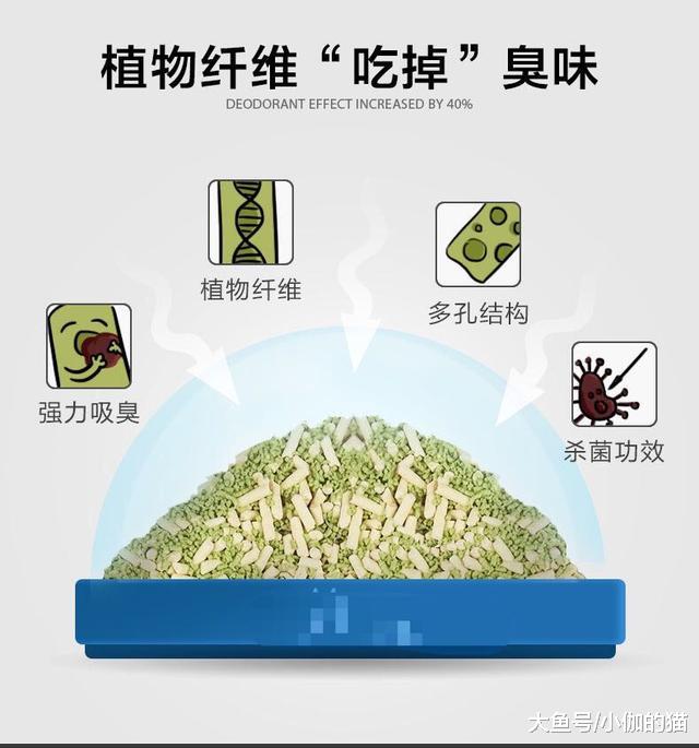 辟谣：猫砂伴侣不是真的好伴侣！猫砂除臭颗粒会导致猫呕吐和腹泻
