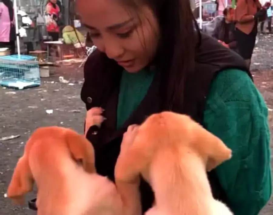 女子買狗未成準備離開，拐彎時卻有意外發現，最后的結局很感人