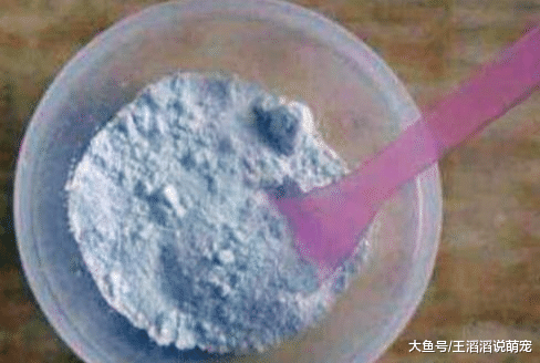 家里养花盆土总“板结”？往里丢点“小玩意”，养啥都蹭蹭长爆盆