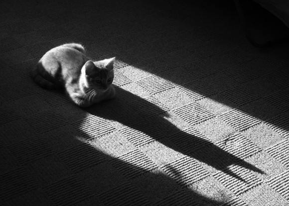 你不够强大，凭什么拒绝别人的恶