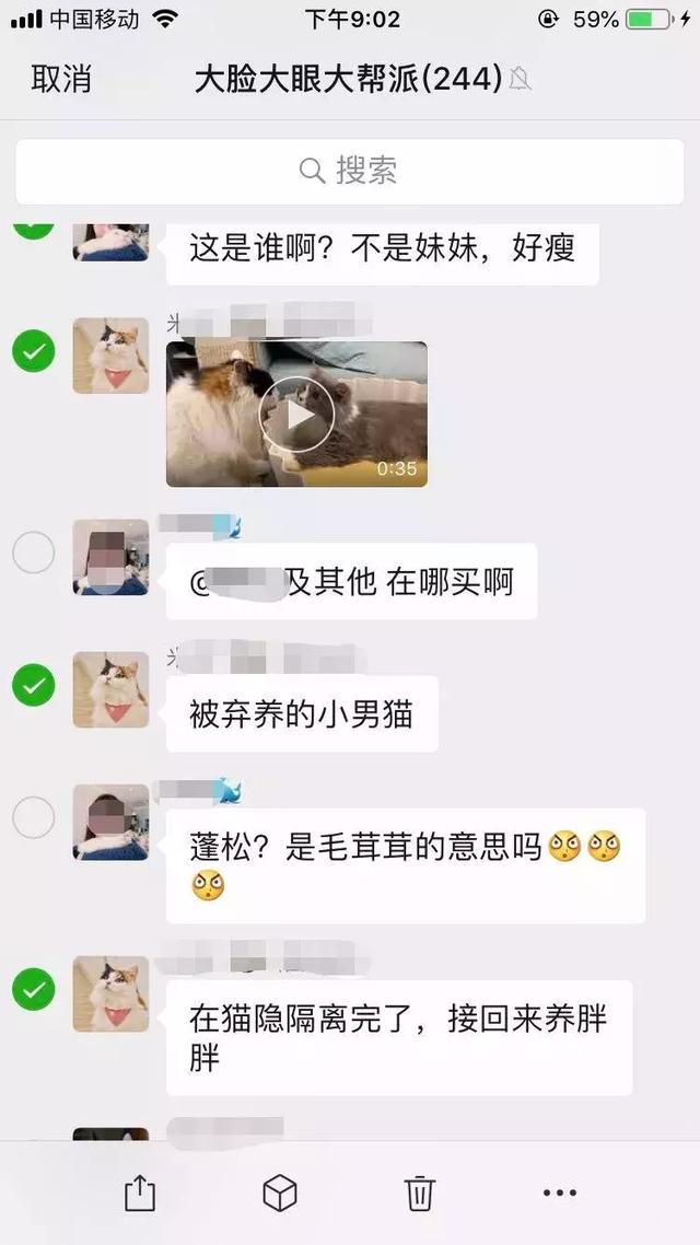 男子经营书店多年，生意好的原因却是因为一只收养的流浪猫