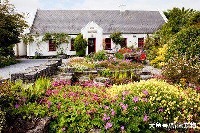 让人痴迷的3大星座，非常的稳重，爱情从不将就！