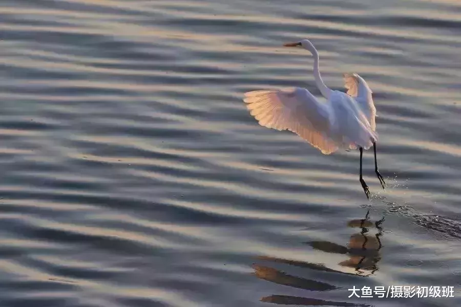 14个摄影冷门技巧, 知道的人很少