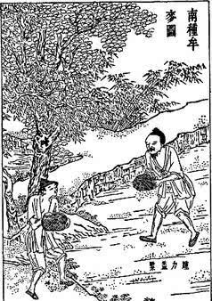 谁才是老赖? 农民抑或地主, 这涉及一个古代的法律问题。太复杂了