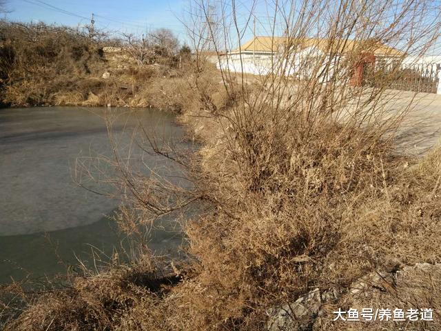 千年的草籽萬年魚籽，為什么自然環境下的水塘里會有魚？