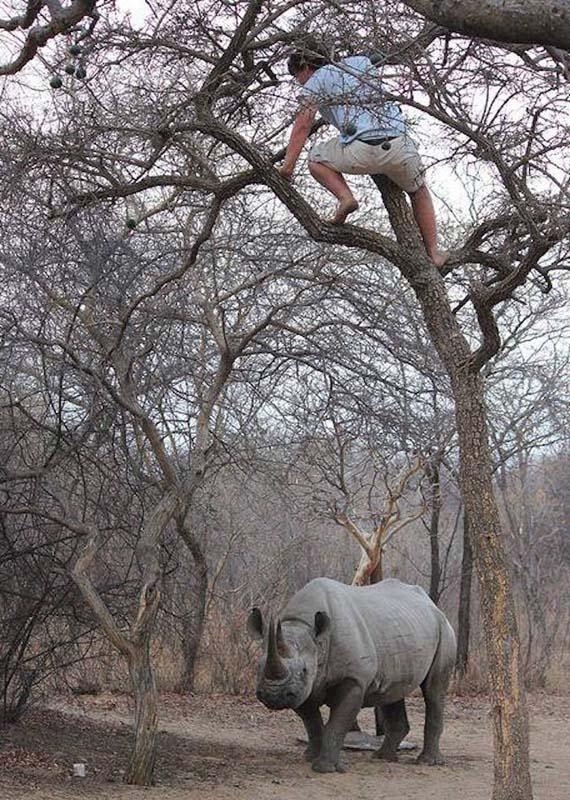 疯狂的非洲，这里危险无处不在
