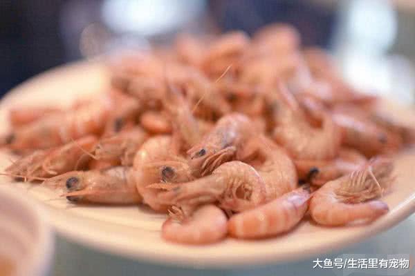 吃清水蝦時，是應該冷水下鍋還是熱水下鍋，廚師告訴你訣竅！