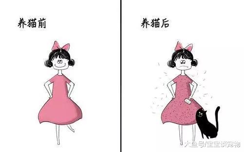 养猫前VS养猫后，要不要这么贴切