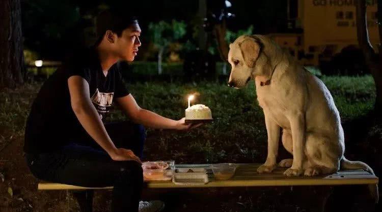 抱歉！连流浪狗都有的教养，有些人却没有…