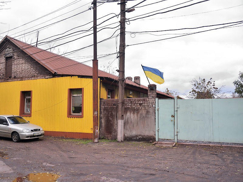 泪奔！因战争而流离失所2年的老流浪狗，终于回家了