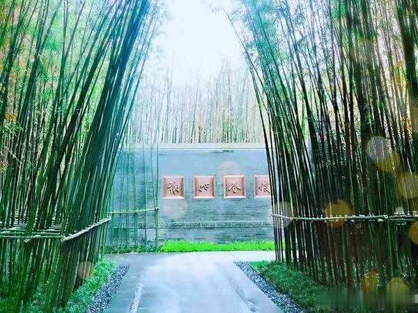 碧桂园“浐灞双星”闪耀 ||于城市浮尘中筑一处世外桃源