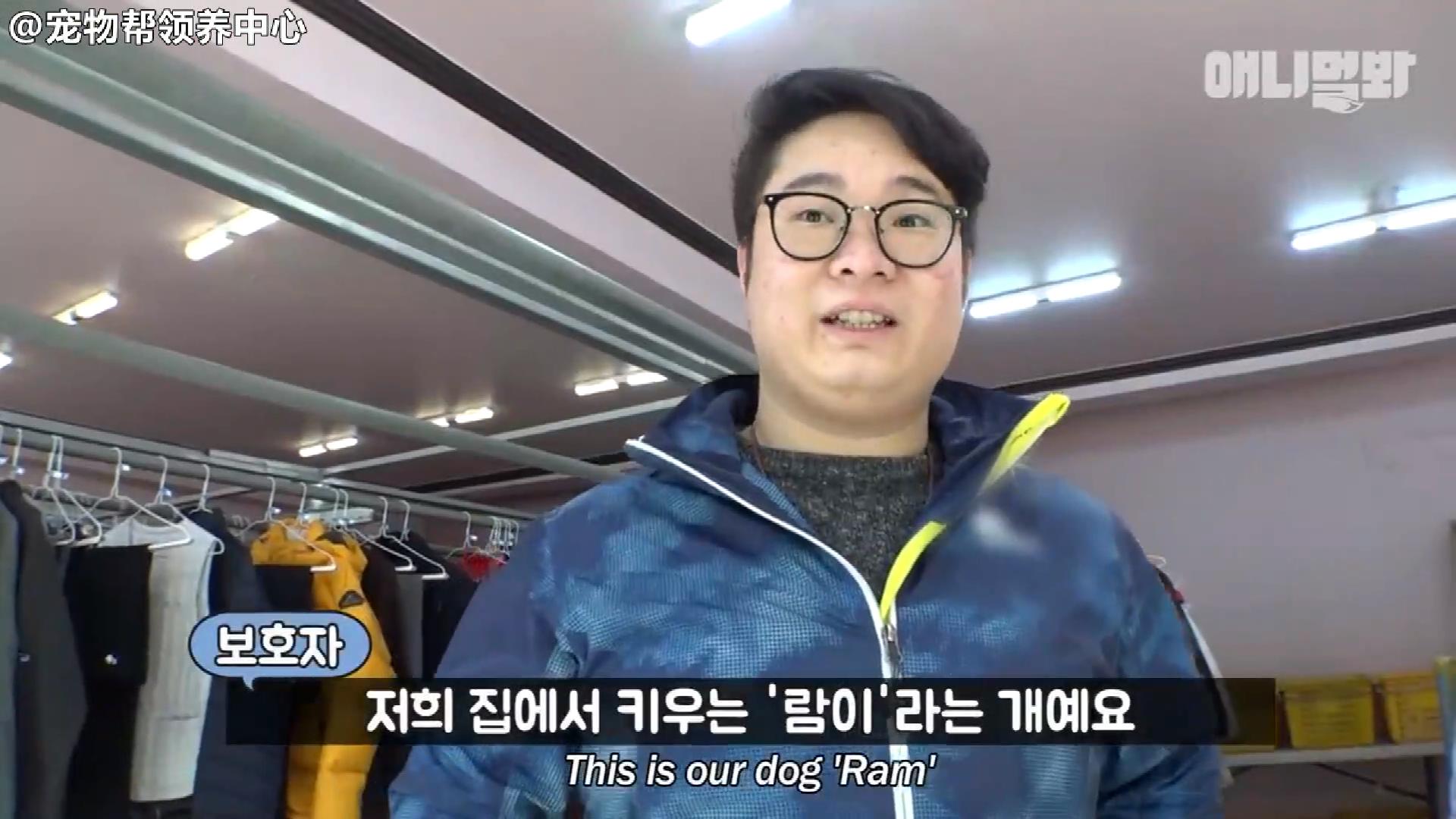 小狗子追求女神半年多，丈母娘发话了，你家底厚实吗？