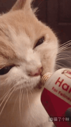 吃东西不要bia唧嘴