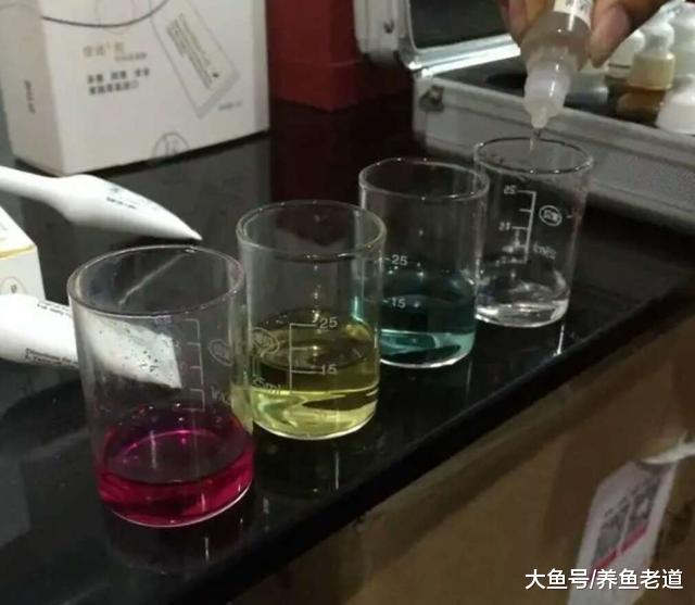 当一把鱼饲料都能轻松改变观赏鱼的水质，我们还做什么水质检测？