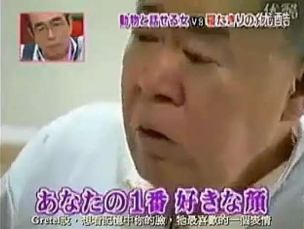 狗狗即将离世，有人翻译出了狗狗的遗言，眼泪控住不住了------