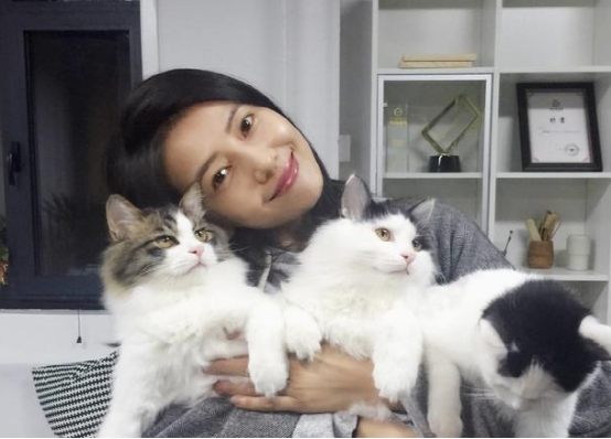 高圆圆现实的豪宅曝光，很简单的房子设计，平时花多数时间养猫了