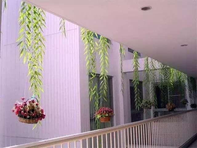 物业不准高层安装防盗窗，媳妇聪明的装了它，小偷看到都害怕！